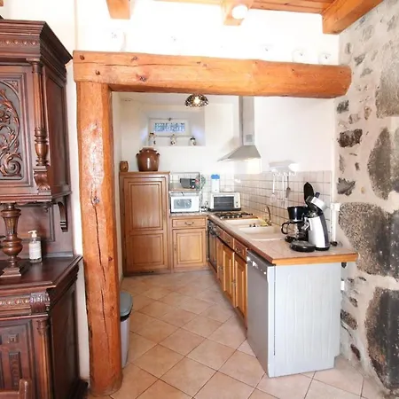 A 1080m D'altitude Avec Cheminee Et Jardin, Proche Des Monts Du Cantal Et Super-lioran - Fr-1-742-529 Hébergement de vacances